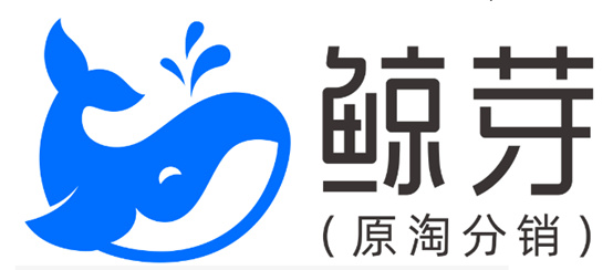 图片15